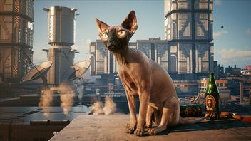 Cyberpunk 2077 z konkursem fotograficznym dla kociarzy