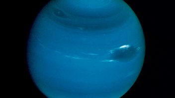 Teleskop Webba znowu zachwyca - Neptun widoczny jak nigdy dotąd