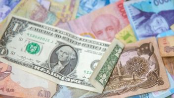 25 tys. dolarów dziennie; ten streamer to maszyna do zarabiania pieniędzy