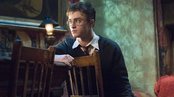 Dostaniemy więcej Harry'ego Pottera? Warner Bros. chce skupić się na znanych seriach