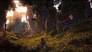 Horizon MMORPG niewykluczony, Sony sięga po pomoc Koreańczyków