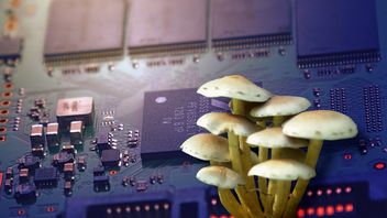 Procesory z grzybów - nie można ich jeść, ale są biodegradowalne