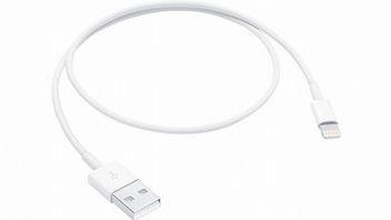 W Brazylii państwo konfiskuje iPhone'y