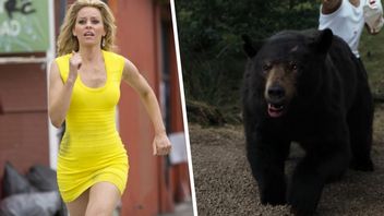Krwawy Cocaine Bear to według reżyserki ryzykowny projekt: „Klęska filmu może oznaczać koniec mojej kariery”