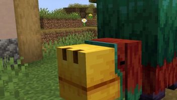 Tak w Minecrafcie będzie zachowywał się Sniffer, większość graczy jest zachwycona