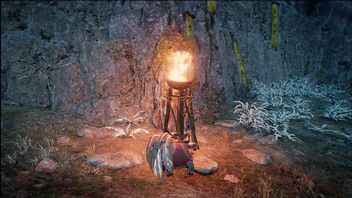 Fire Build w Wo Long Fallen Dynasty