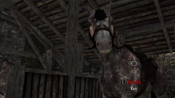 Masa fanów Skyrima właśnie dowiedziała się, że konie to konfidenci