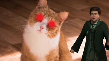 Twórcy ostrzegają: koty w Hogwarts Legacy mogą stać się śmiertelnym zagrożeniem