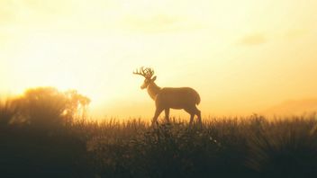 Wyobraźcie sobie takie zakończenie RDR2, Internet by eksplodował