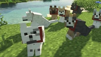 O tym detalu z Minecrafta wielu nie wiedziało, a może uratować Wasze pieski