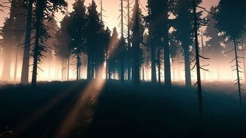 Aporia: Beyond The Valley - zapowiedziano przygodówkę FPP