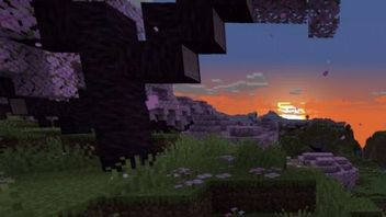 Ten bug z Minecrafta nękał graczy 12 lat. W końcu został naprawiony