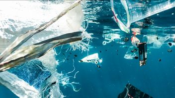 Śmieci to ich nowy dom, niesamowite odkrycie naukowców