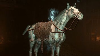 Diablo 4 zasypie nas mountami, niektóre wyglądają dziwacznie
