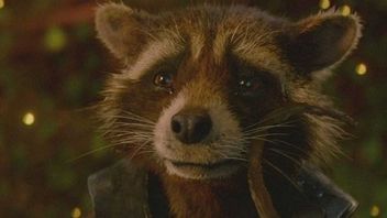 Ta scena z Rocketem ze Strażników Galaktyki po 9 latach stała się bardziej emocjonalna