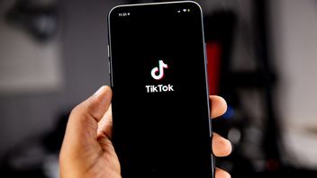 TikTok śledził dziennikarkę przez konto jej kota