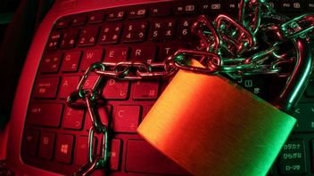 Patostreamerzy będą trafiać do więzenia? Polski rząd planuje dotkliwe kary