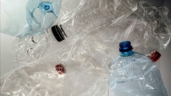 Te mikroby pomogą nam tanim kosztem pozbyć się plastiku, po prostu go trawiąc