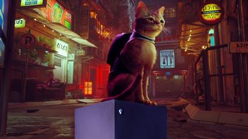 Koci hit Stray najwidoczniej zmierza na Xboxa, choć ESRB usuwa wzmianki [Aktualizacja]