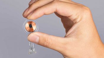 Neuralink coraz bliżej testów na ludziach; Elon Musk otrzymał zgodę