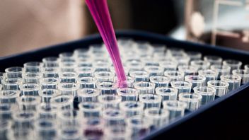 Dzieci z krwi albo skóry; Japońscy naukowcy z przełomowym odkryciem