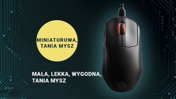 Mała mysz na kablu, która nie ustępuje lepszym