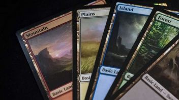 Kolekcjoner kupił wszystkie wydane karty MTG, to prawdziwy majątek