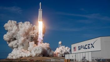 SpaceX zatrudni 14-letniego geniusza, ma być jednym z najinteligentniejszych ludzi na świecie