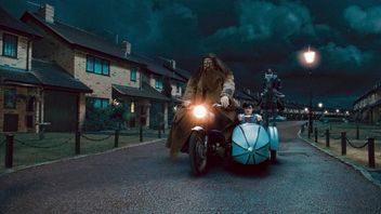 „Codziennie przez całe dni”. Właściciele domu z Harry'ego Pottera o tabunie fanów pod ich oknami