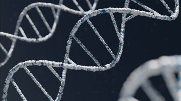 Tajemnica tego, co robi z nami neandertalskie DNA, została rozwiązana