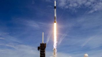 Wylądowało już 200 rakiet Elona Muska; SpaceX pobiło historyczny rekord