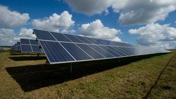 Wiatr i słońce przegoniły węgiel; w USA źródła odnawialne generują więcej prądu