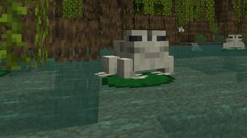 Niektóre moby w Minecrafcie mają wyjątkowe warianty, których nie znajdziecie w wersji Java