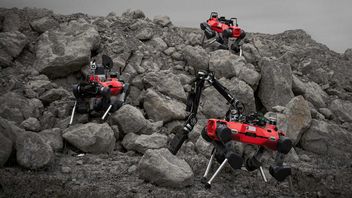 Rodziny czworonożnych robotów wyruszą na podbój kosmosu eksplorować planety