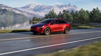 Posiadanie elektryka to nie tylko korzyści; właściciele Tesli dzielą się nietypowymi problemami