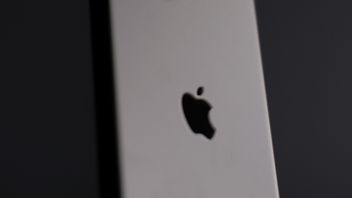 iPhone uratował właściciela po upadku w przepaść, pomogła łączność satelitarna