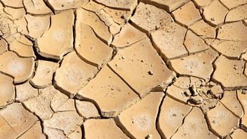 Upały dopiero się rozkręcają, problemem okaże się rosnąca wilgotność powietrza