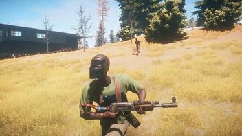 Rust wkrótce opuści fazę wczesnego dostępu
