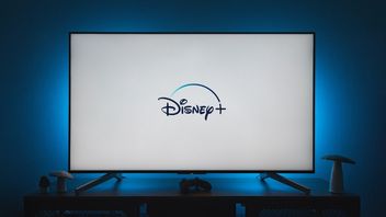 Idąc śladami Netflixa, Disney Plus będzie walczył z dzieleniem haseł
