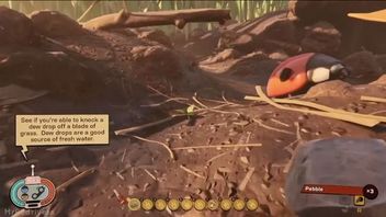 Grounded – pierwszy gameplay z nowej gry Obisidian Entertainment
