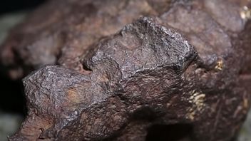 Człowiek używa dziwnego kamienia jako ogranicznika drzwi przez 30 lat - okazuje się, że jest wart fortunę