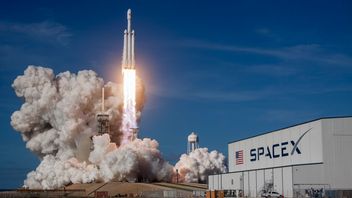 SpaceX pozwane przez Departament Stanu; kłopoty firmy Elona Muska