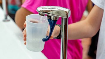 Pająki i chrząszcze mogą pomóc w tworzeniu nowych technologii zbierania wody