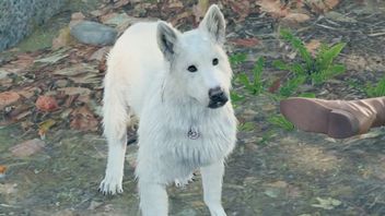 Drapek w BG3 jest bardziej przydatny niż myślicie. Większość graczy zapomina o tej umiejętności