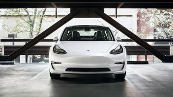 Tesla zatrzymała się na ruchliwej drodze i przez 9 godzin odmawiała posłuszeństwa