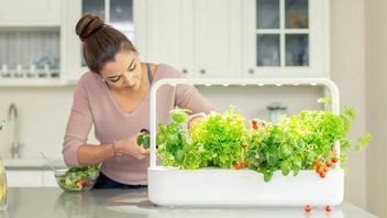 Dzięki smartdoniczce nie uśmiercisz już żadnej rośliny, ale swój budżet z pewnością