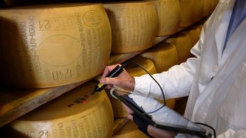 Koniec z podrobionym parmezanem; mikroczipy o to zadbają