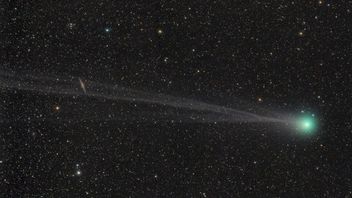 Czy asteroida nam zagraża? Ci naukowcy o tym decydują