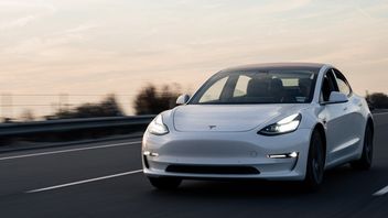 Tesla Model Y i Model 3 najrzadziej kradzionymi samochodami w USA