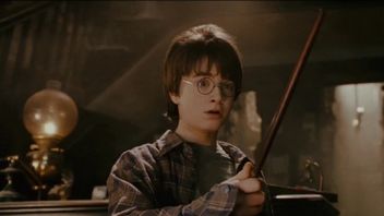 Gwiazda Harry'ego Pottera stwierdziła, że w tych filmach „bezsensownie tracono pieniądze”